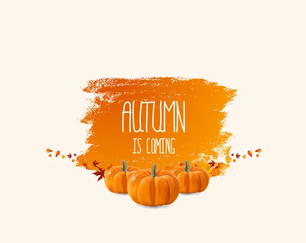 Hojas de otoño fondo — Vector de stock