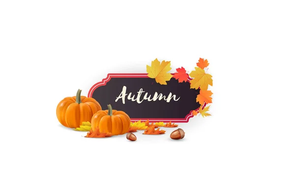 Autumn Design Pumpkins Leaves Vector Illustration — Stock Vector