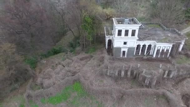 Drone View Abandoned Building Classical Architecture Dense Thickets Dry Ivy — Stock Video