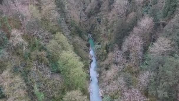 Drohnenblick Auf Schlucht Berge Und Chosta Fluss Eibe Und Buchsbaumhain — Stockvideo