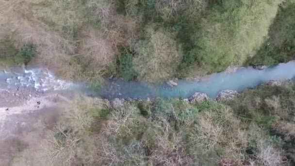 Drone Dall Alto Verso Basso Vista Sul Fiume Khosta Foresta — Video Stock