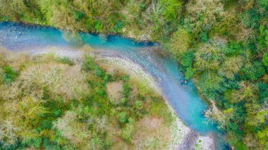 Yukarıdan aşağıya dron görünümü ve kanyon Yew nehirde Khosta ve kutusu-tree Grove bahar günü, Sochi, Rusya Federasyonu