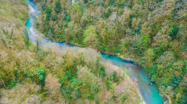 Drone görünümü Kanyon, dağlar ve porsuk nehrine Khosta ve kutusu-tree Grove bahar günü, Sochi, Rusya Federasyonu
