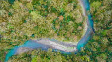 Yukarıdan aşağıya dron görünümü ve kanyon Yew nehirde Khosta ve kutusu-tree Grove bahar günü, Sochi, Rusya Federasyonu