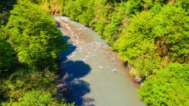 Sochi river gorge yoğun orman içinde güneşli yaz gün, Rusya ile dron görünümü
