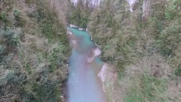 Drohnenblick Auf Schlucht Felsen Und Chosta Fluss Eibe Und Buchsbaumhain — Stockvideo