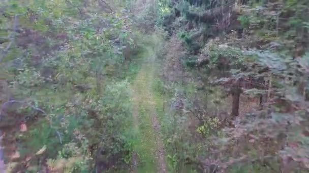 Vuelo Hacia Atrás Avión Tripulado Sobre Una Pista Tierra Bosque — Vídeos de Stock