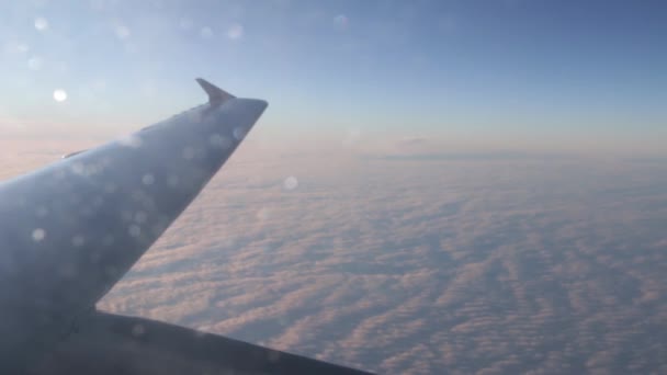 Полет Самолете Над Облаками Вид Иллюминатора — стоковое видео