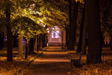 Mikhailovsky Garden, Saint Petersb sokak Gece sonbahar görünümü