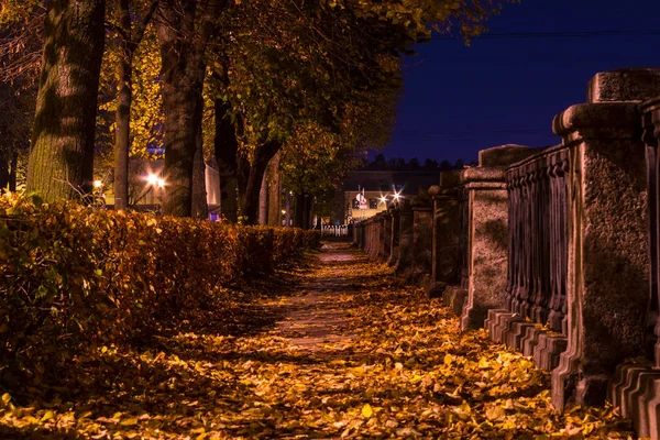 Night autumn view of embankment of Kryukov Canal — Stock Photo, Image