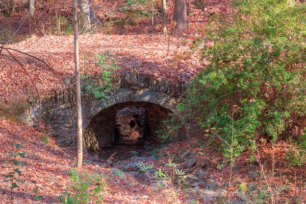 Ponte de pedra sobre riacho em Atlanta, Estados Unidos — Fotografia de Stock