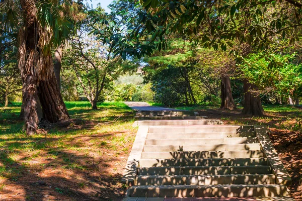 Escalera Árboles Parque Soleado Día Verano — Foto de Stock