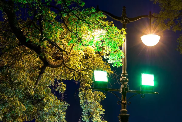 Night multicolor street lamps in the foliage of tree
