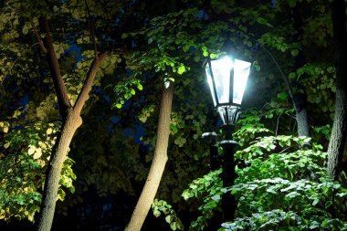 Ağaçların yeşillik arka planda Gece sokak ışığı