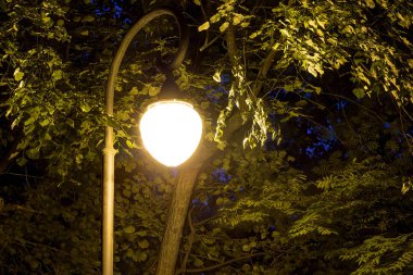 Ağaçların yeşillik arka planda Gece sokak ışığı