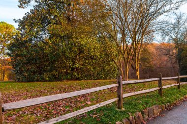 Lullwater Park ahşap çit ve büyük manolya ağacı, Atlanta, Abd