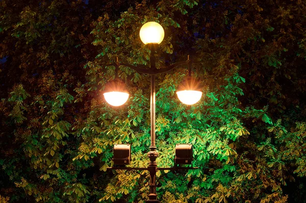 Night Multicolor Straatlantaarns Achtergrond Van Bomen Loof — Stockfoto