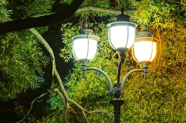 Nocne Wielokolorowe Lampy Uliczne Tle Drzew Liści — Zdjęcie stockowe