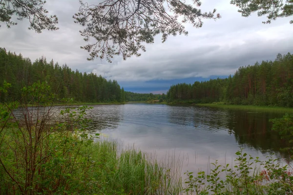 Paysage Estival Lac Forêt Par Une Journée Nuageuse — Photo