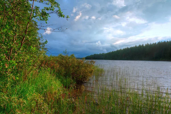 Paysage Estival Lac Forêt Par Une Journée Nuageuse — Photo