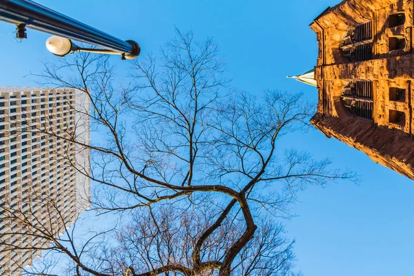 Vista Inferior Árbol Torre Iglesia Episcopal Todos Los Santos Rascacielos — Foto de Stock