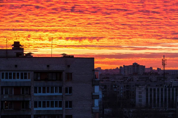 サンクトペテルブルクの夕暮れ空撮 — ストック写真