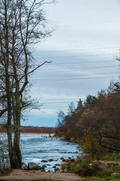 Rive Rivière Vuoksi Avec Des Arbres Nus Dans Journée Nuageuse — Photo