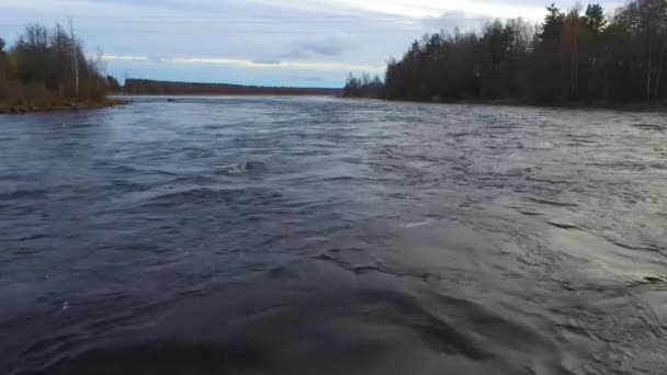 曇りの秋の日にブオクシ川の流れのドローンビュー ロシェヴォ レニングラード州 ロシア — ストック動画