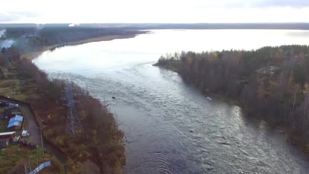 ブオクシ川と曇りの秋の日の森のドローンビュー ロシェヴォ レニングラード州 ロシア — ストック動画