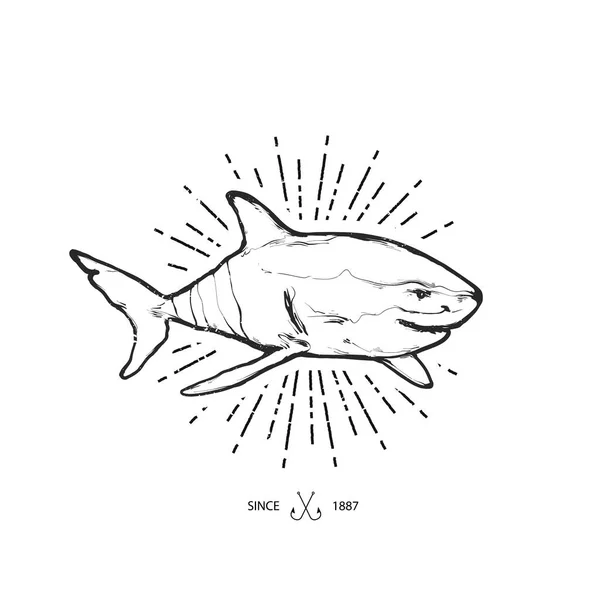 Emblema de tiburón para imprimir aislado sobre fondo blanco — Archivo Imágenes Vectoriales