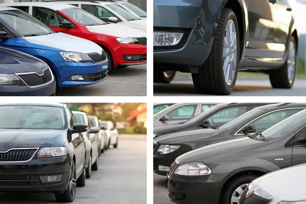 Collage Different Photos New Cars — Stock Photo, Image