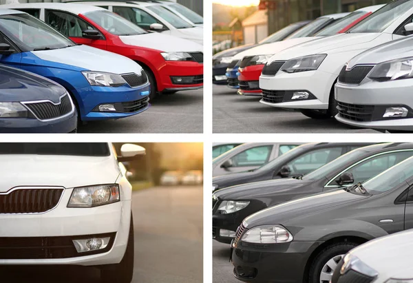 Imagens Colagem Conceito Carros Novos Para Venda Estacionado Frente Carro — Fotografia de Stock