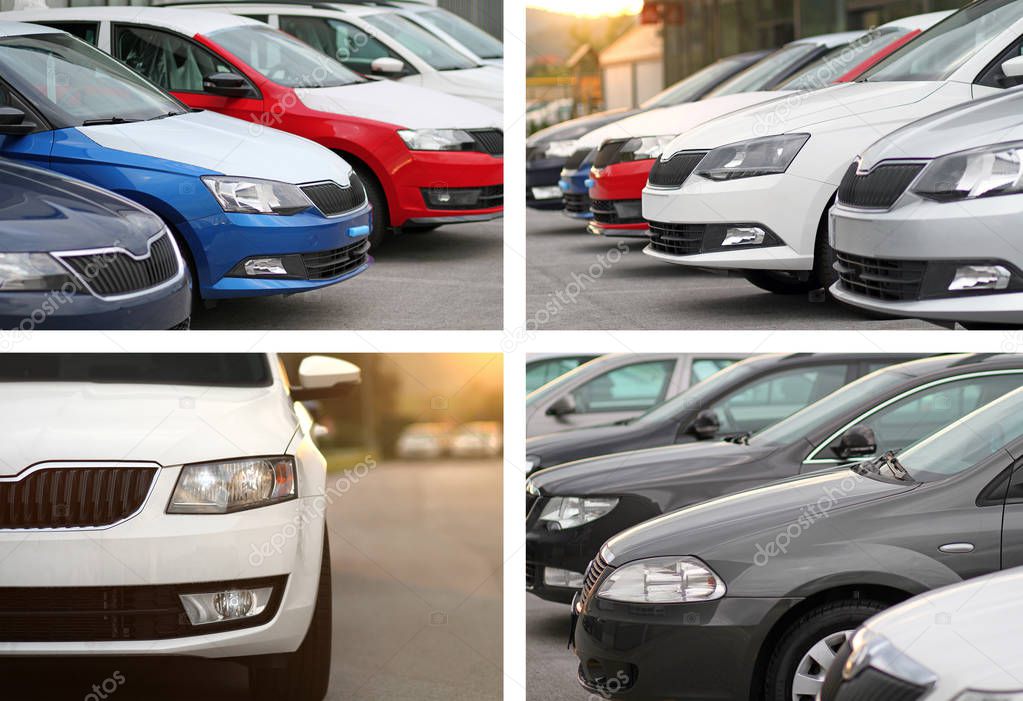 4 images, collage, concept of new cars for sale parked in front of a car, motor dealer store, shop