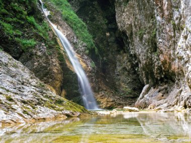 Şelale Zapotok, Virje Triglav Ulusal Parkı 'nda ormandaki uzun süreli çekim, yavaş çekim hızı