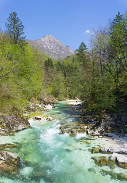 Turkuaz Soca Nehir Slovenya Triglav Ulusal Park — Stok fotoğraf