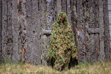 Genç bir kadın, kamuflaj kıyafeti giymiş, iplikçik, asker, kikimora, ayakta, ahşap çitin yanında, kurslar, sınıflar, çimenler, orta boy, yatay fotoğraf, karışık çimen, açık hava,