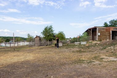 Genç bir çocuk, kahverengi saçlı, fotoğrafçı, siyah tişörtlü, köpeğe yakın duran, uzaktan bakan, boynunda kamera olan, kalemle, omzunda bavul olan, çiftlik, açık hava, gündüz, uzak manzara, kırsal alan., 