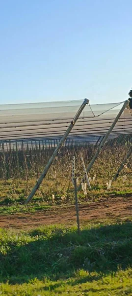 Alandaki sulama sistemi