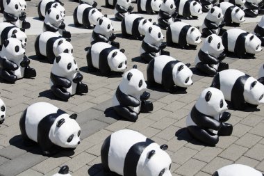 Pandalar. Kimse geçemez