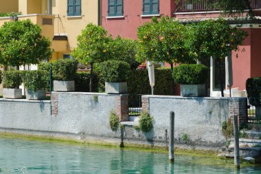 Göl ile eski evler arasında portakal ağaçları