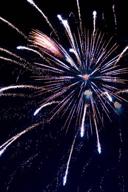 Akşam saat havai fişek Kanada günü Kanada park otellerini göster 