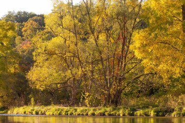 Humber River 'ın sonbahar sezonunda manzara manzarası, Toronto, Ontario, Kanada
