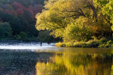 Humber River 'ın sonbahar sezonunda manzara manzarası, Toronto, Ontario, Kanada