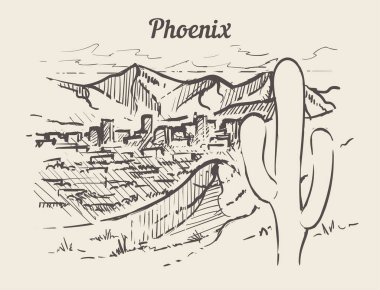 Phoenix manzarası elle çizilmiş. Phoenix kroki tarzı vektör çizim Isolated beyaz arka plan.