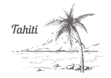 Palm Beach Tahiti elle çizilmiş. Tahiti sketch vektör çizim