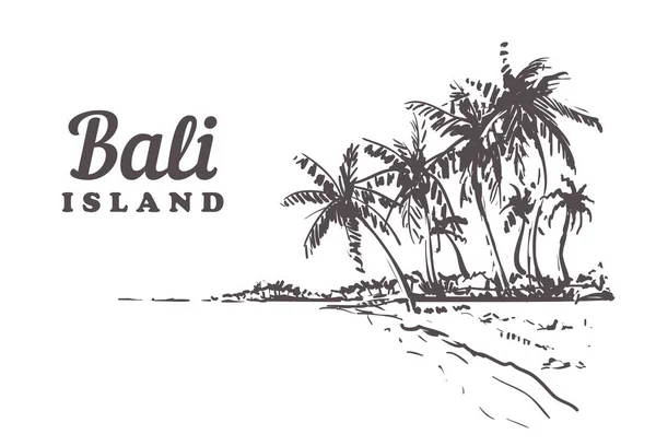 Palmiye ağaçları Bali ile plaj. Elle çizilmiş kroki Bali illüstrasyon Isolated beyaz arka plan üzerinde.