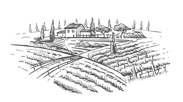 Paisaje rural con villa, plantación de vid y colinas. Dibuje a mano ilustración de diseño para etiqueta de vino o cartel . — Archivo Imágenes Vectoriales