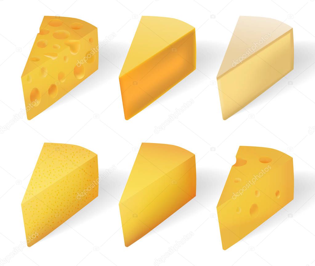 Yummy Yellow cheese isolated on white. Realistic Cheese types set isolated on white. vector illustration