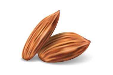 Template with almonds for packaging design, presentation, banner, ad. Realistic almond nuts isolated on white. Vector illustration.