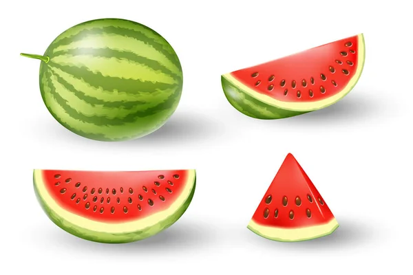 Realistische zoetwatermeloen set. Sappige watermeloen geïsoleerd op wit. Tropische vruchten vector illustratie — Stockvector